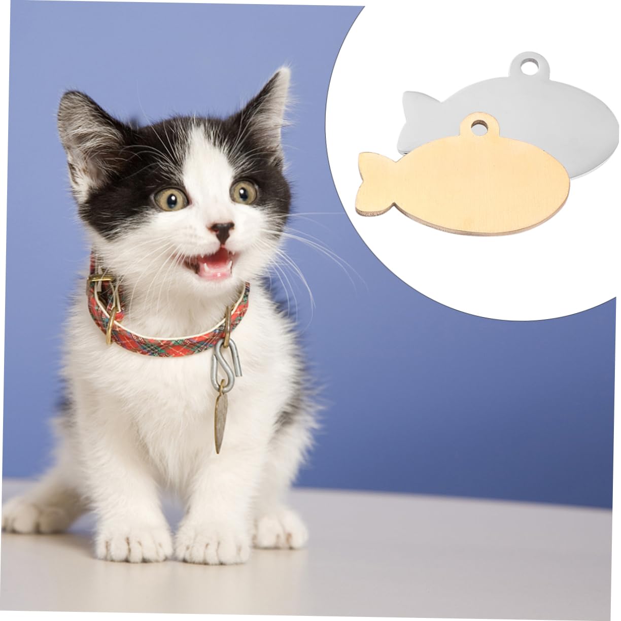 GRIRIW 2pcs Cat Dog Id Tags Engraved Pet Charm Collars for Dogs and Cats Adorable and Delicate Design Present for