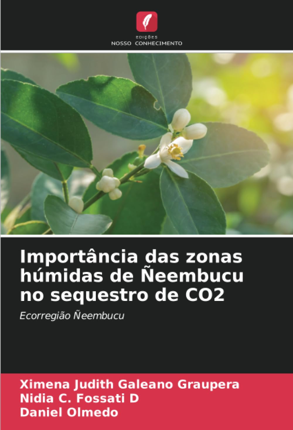 Importância das zonas húmidas de Ñeembucu no sequestro de CO2: Ecorregião Ñeembucu