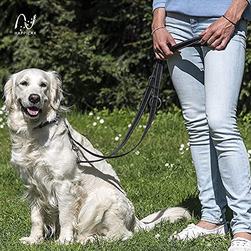 Happilax Hundeleine 2m verstellbar - Schwarz/Reflektierend - 3-stufig verstellbare Leine - Doppelleine, Schleppleine - geeignet als Hundeleine für große Hunde oder als Schleppleine für kleine Hunde.
