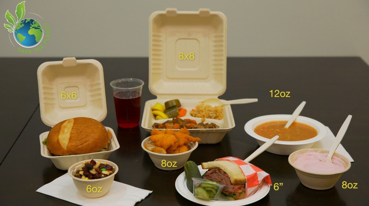 Stock Your Home 6 Inch Compostable Plates - 100 Pack Bagasse Sugarcane Fiber Dinnerware