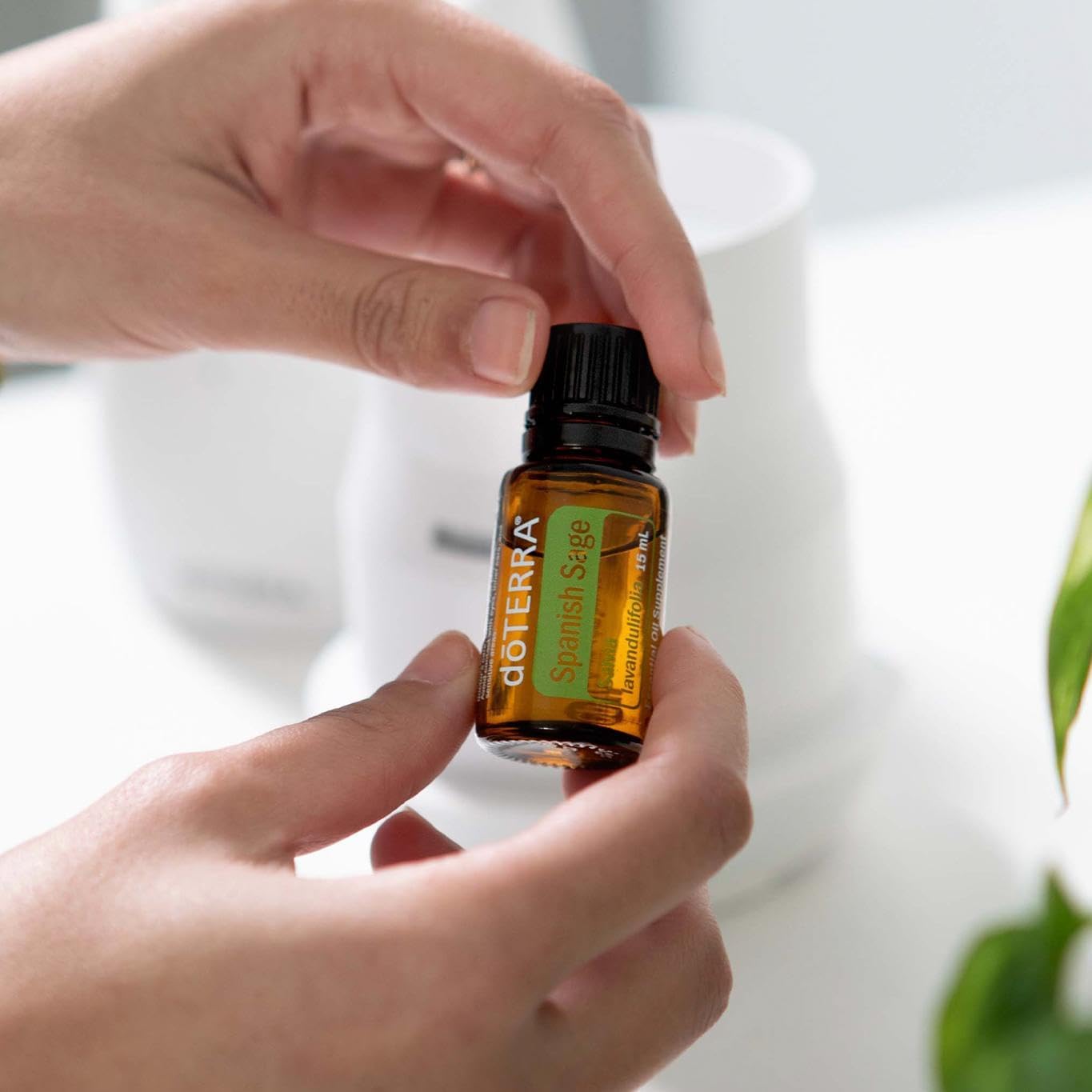 doTERRA Spanish Sage Oil - 15ml - Supports A Calm Mind and Sense of Alertness
