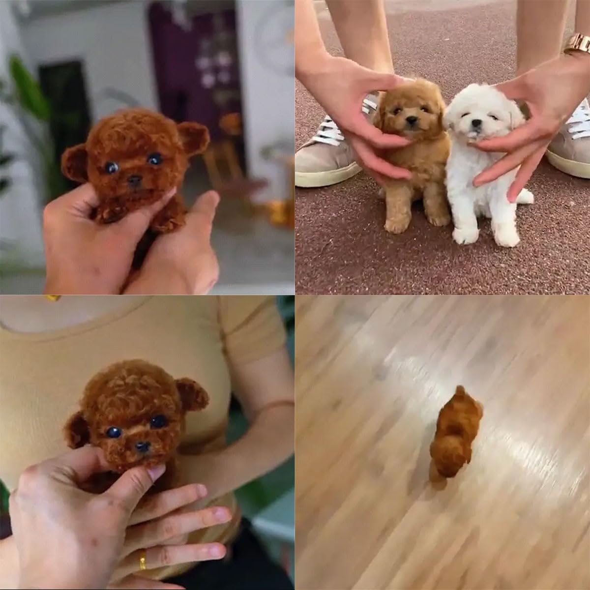 Genérico 2025 New Robot Dog, Nicoo - My Realistic Robotic Puppy, Realistic Puppy, Electronic Interactive Stuffed Dog - Walking, Barking, Tail Wagging (Brown)