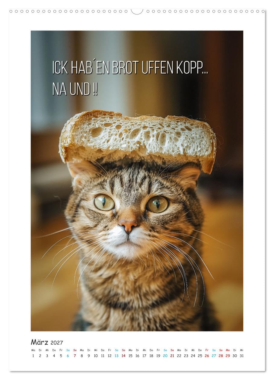 CALVENDO - Lach Dich fit ! (Wandkalender 2027 DIN A2 hoch), Monatskalender: Egal, ob Sie einen stressigen Tag im Büro haben oder einfach nur Ihre tägliche Dosis Humor genießen möchten – dieser Kalende