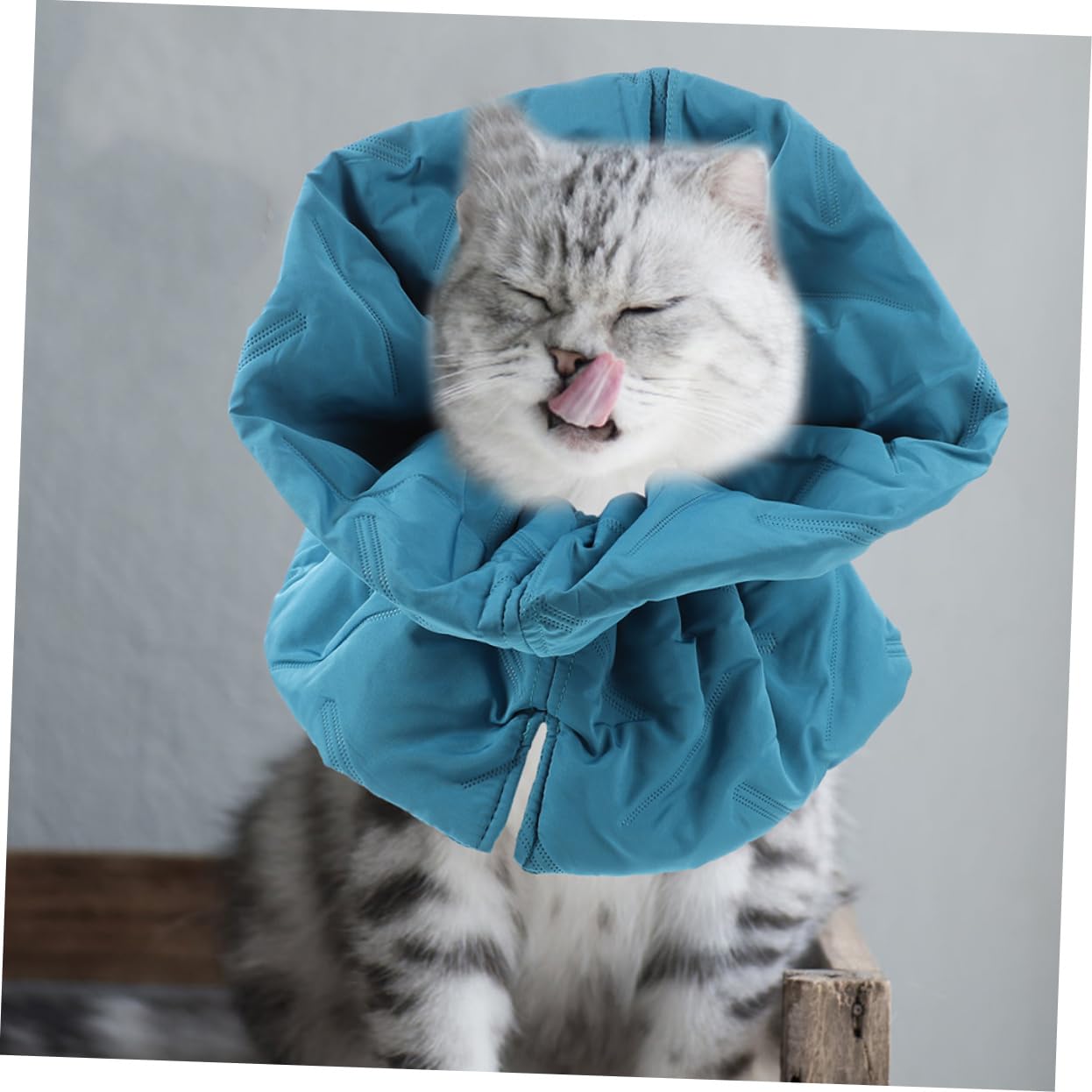 INOOMP 4pezzi Collare Elisabettiano Regolabile Per Gatti Cone Protettivo Morbido Traspirante Per Comfort e Visibilità Garantiti Collare Per Animali Domestici