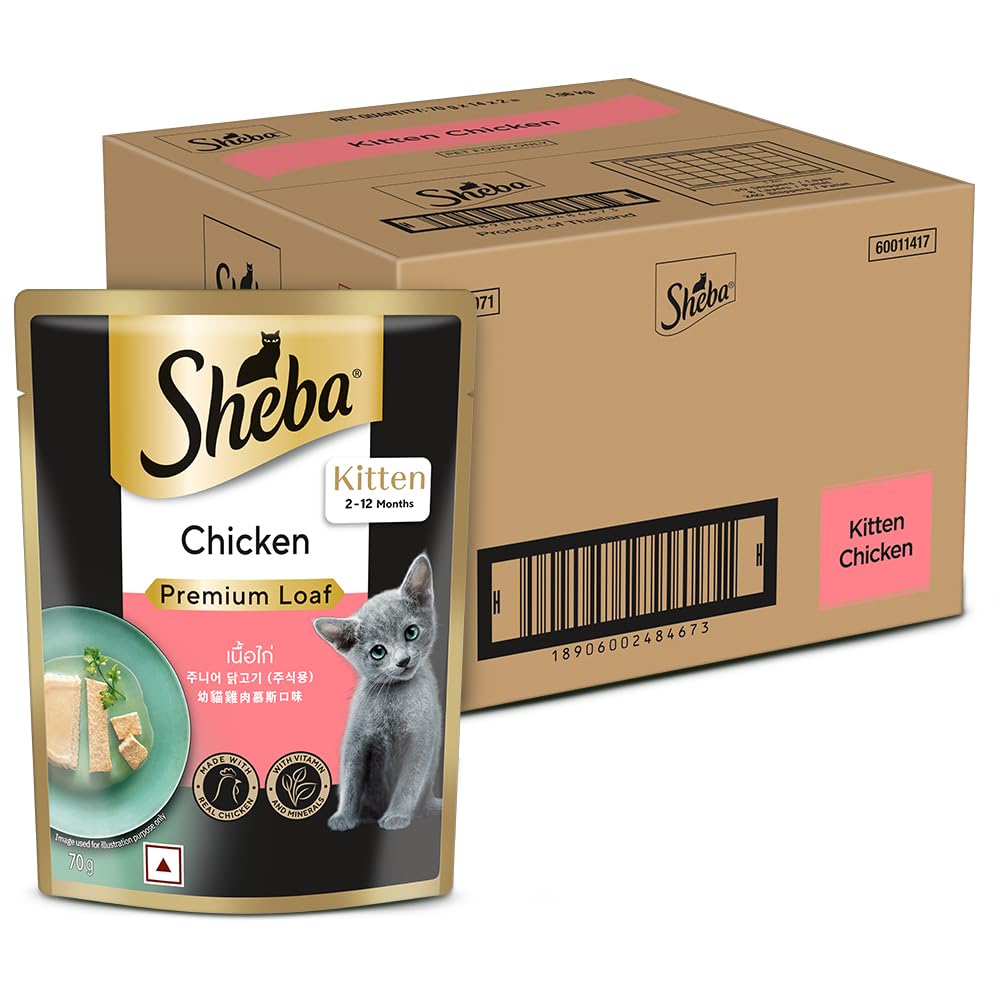 Sheba Fine Premium Kitten (2-12 months) Wet Cat Food, Chicken Premium Loaf, 70 g Pouch (Pack of 28), High-moisture gravy kitten cat food for healthy hydration