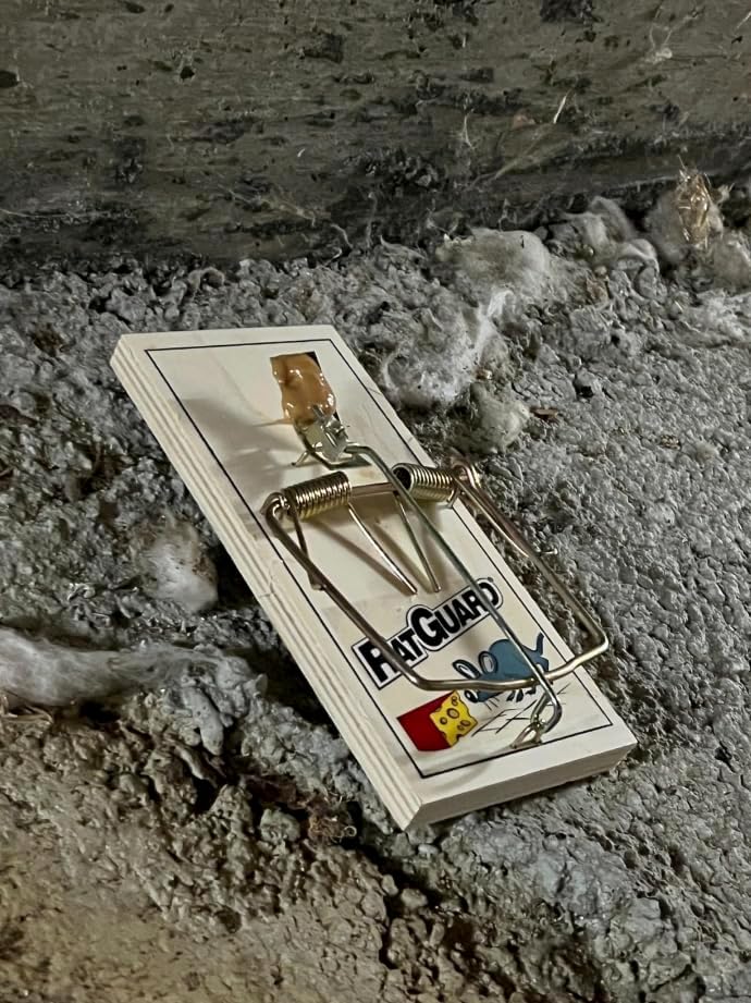 Miniatura 2 de Harrier Hardware Juego de 12 trampas para ratas, mecanismo confiable de doble resorte con base de madera resistente y placa de metal para interiores