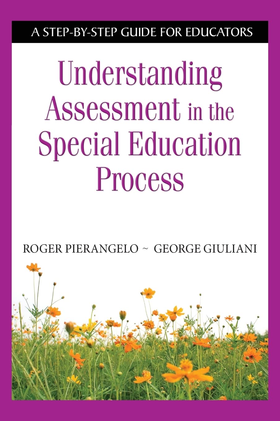 Buy Understanding Assessment in the Special Education Process: A Step-by-Step Guide for Educators — BookShops.in