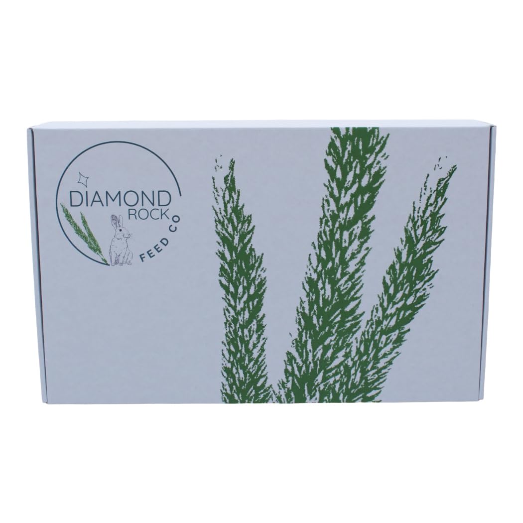 Diamond Rock Feed Timothy Hay 2nd Cutting Hay, Ideal for Rabbits, Guinea Pigs, Chinchillas, Mice, Rats and Hamsters, High Fat and Protein Content - 5 pounds - image 2