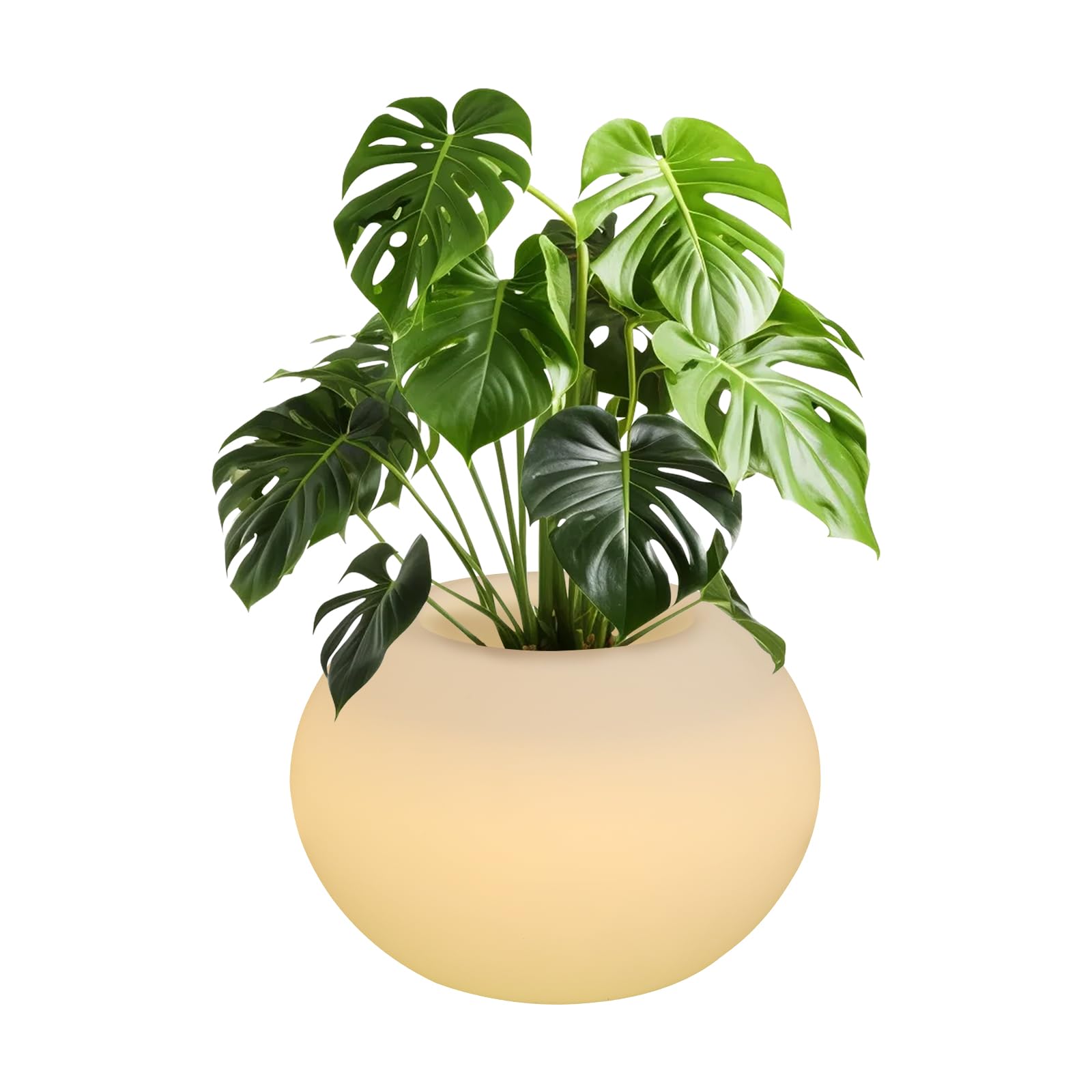 Vaso da fiori a LED, 35 x 24 cm, moderno, rotondo, illuminato, con telecomando, per balconi, bar, matrimoni, camere da letto