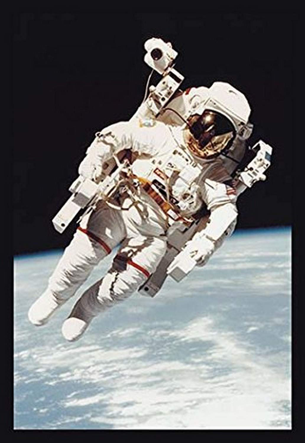 Buyenlarge McCandless Close-Up - Gallery Wrapped 28"X42" Canvas Print, 28" X 42"