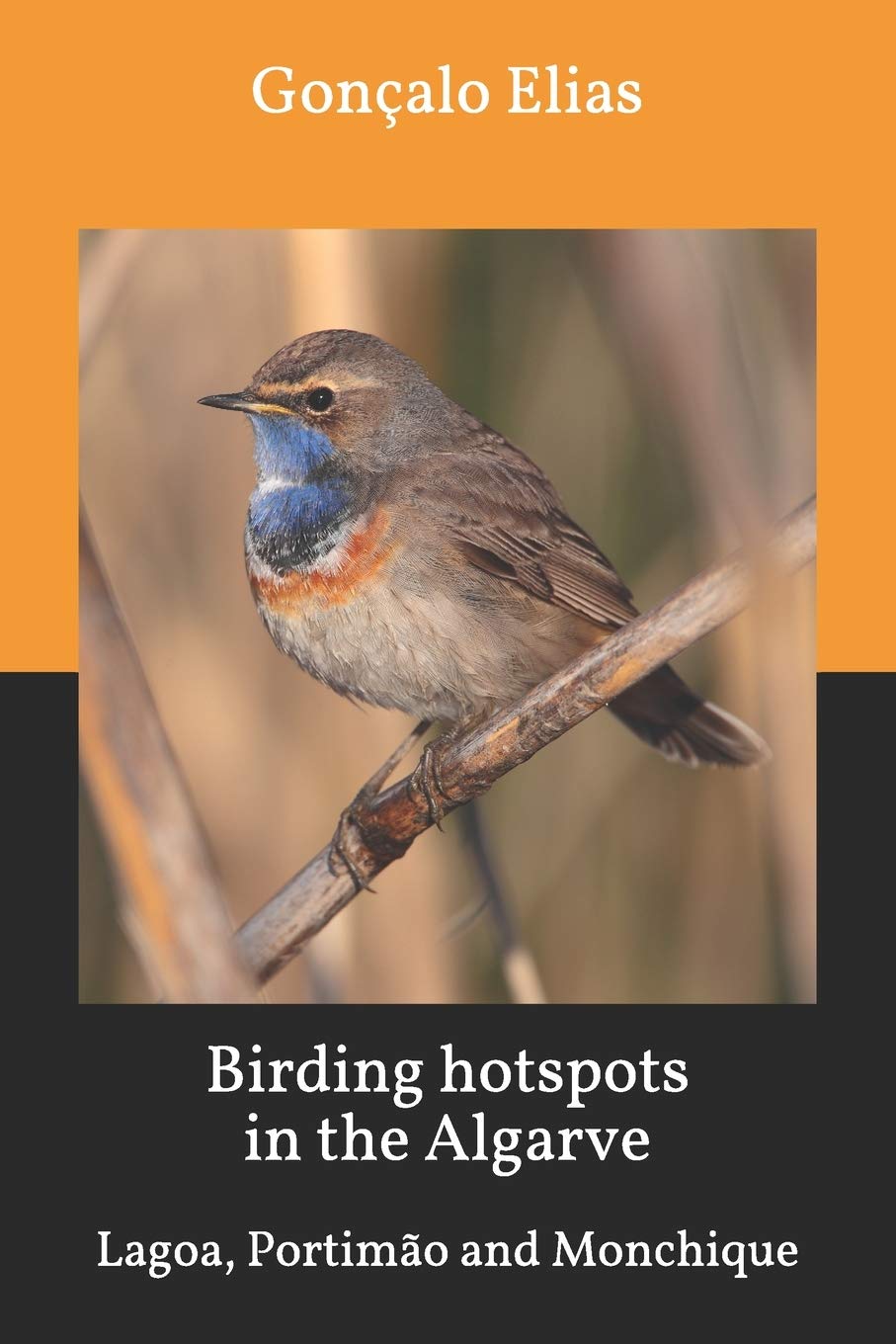 Birding hotspots in the Algarve: Lagoa, Portimão and Monchique: 7
