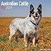 Price comparison product image Australian Cattle Dog Calendar 2019
