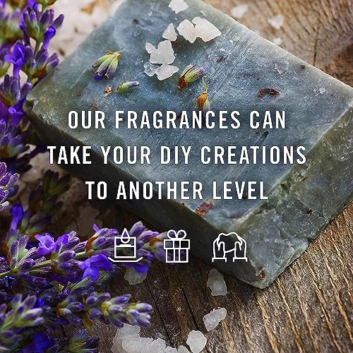 Image of Signamio 5 Pcs Essential Oil Set - Premium Reed Diffuser Fragrance Aroma Oil Collection for Home & Office - Long-Lasting Scented Blends for Relaxation & Wellness - Lemon /Lavendor /Musk /Jasmine /Vanilla