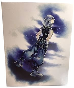 Amazon.co.jp: 稀少品・キングダム ハーツ アートキャンバス