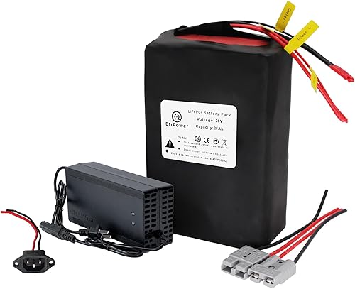 Batería de litio de 48V52V 25Ah LiFePO4 incorporada 50A BMS para motor 0-1200W