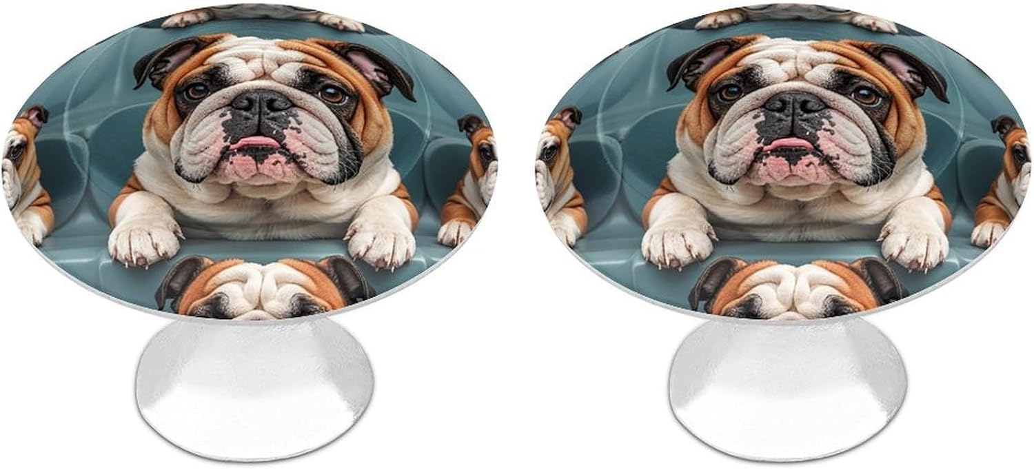 Funny English Bulldog Cabinet Knob 2 Pack Mini Round Drawer Pulls Stainless Steel Dresser Drawer Knobs Kitchen Drawer Hardware for Bathroom Dresser Closet Door Knobs
