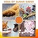 ENOLVO Terracotta Brown Sugar Saver- Brown Sugar Keeper Disc to Maintain Food Moisture in Storage Container - Terra Cotta Bear Softener Alternative - 1Pack
