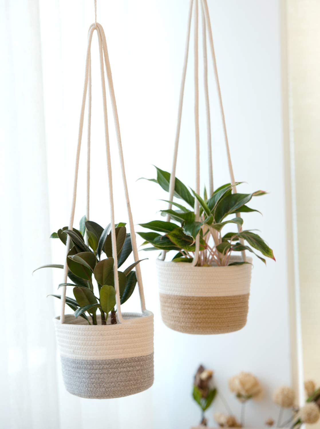 See full amazon price history chart for Ravsan - Modern Home ! Hanging Planters Jute Rope Basket, Plant Holder with Long Hanging Rope (beigemix) Pack of 2 Ravsan - Modern Home ! Hanging Planters Jute Rope Basket, Plant Holder with Long Hanging Rope (beigemix) Pack of 2 (B0BHF35WW1) Amazon Price History, Amazon Price Tracker