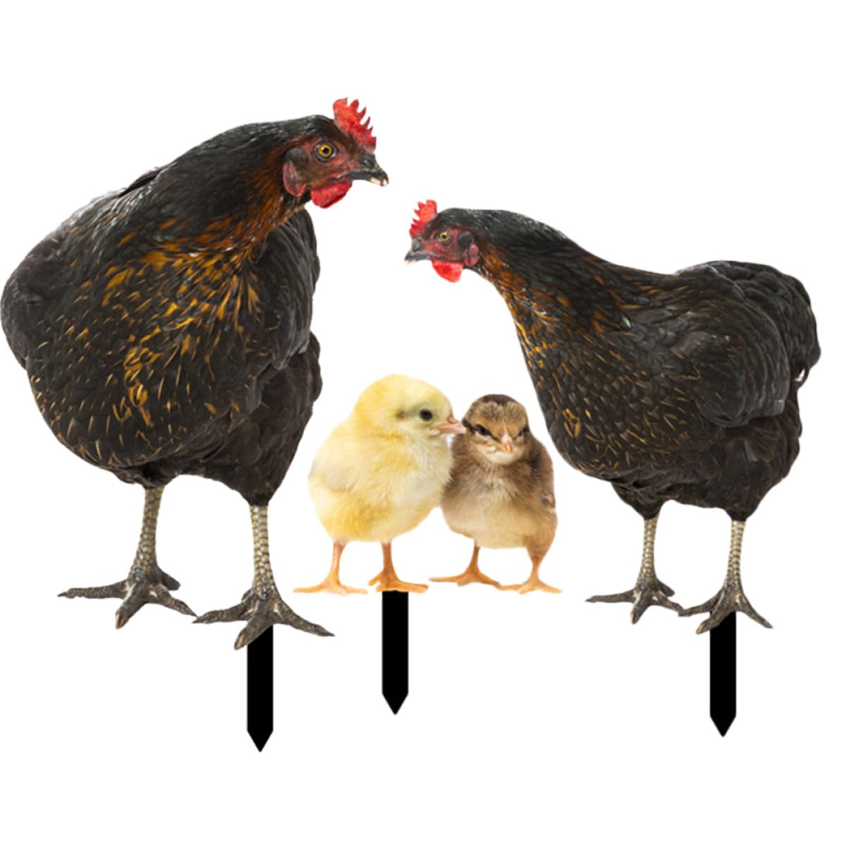 Acryl Gartendekoration Huhn und Hahn Satz für Gartenstecker Draußen
