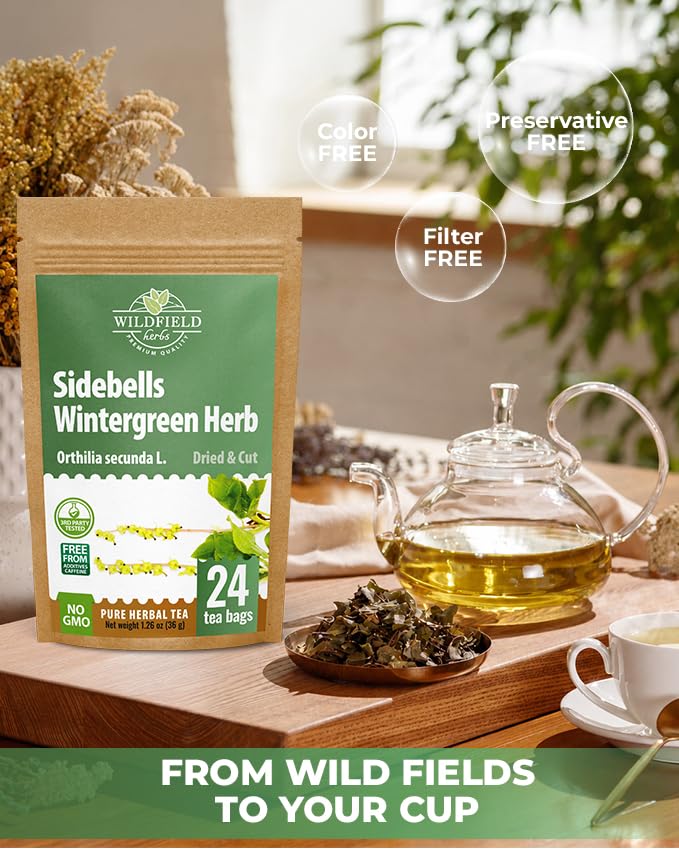 Image of 24 Bags Dried Cut Sidebells Wintergreen Herb Tea (Orthilia Secunda) - 24 Count 1.5g Tea Bags One-Sided Wintergreen Orthilia (Peralito)