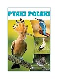Ptaki Polski