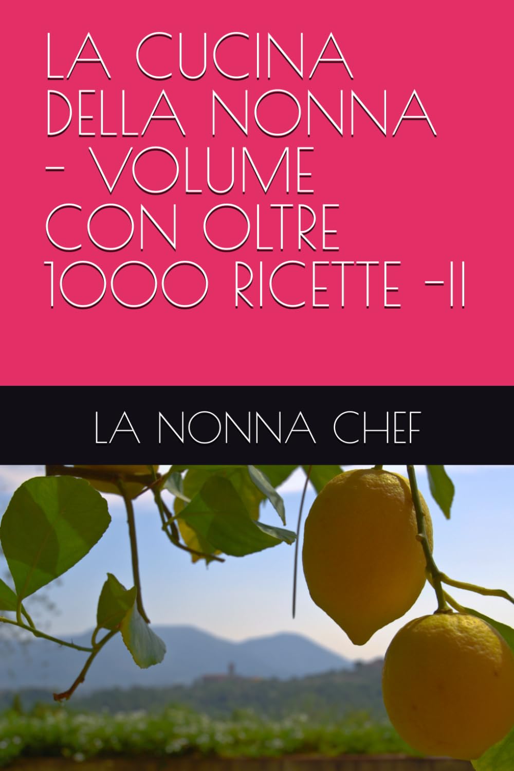 LA CUCINA DELLA NONNA - VOLUME CON OLTRE 1000 RICETTE -II
