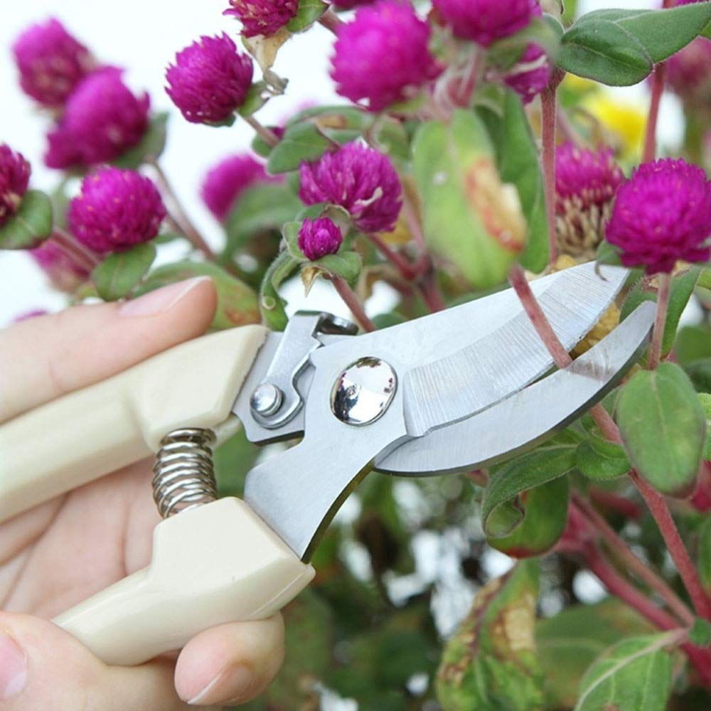 Forbici da Potatura Forbici da Giardino in Acciaio Inossidabile Attrezzo per Innesto Cesoie da Potatura per Alberi da Frutto Forbici da Potatura per Bonsai Cesoie da Giardino GS Sciss