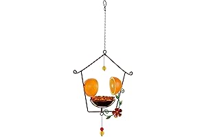 FORUP Oriole Bird Feeder for Outdoors Jelly and Oranges: The Perfect Treat...