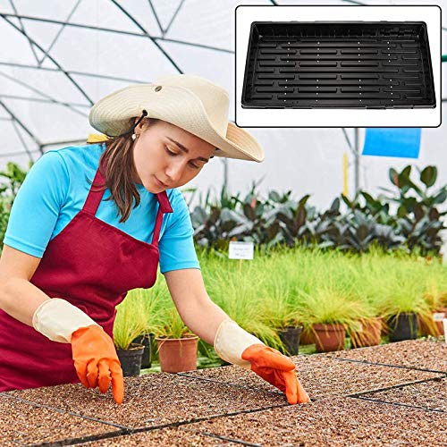 Plateau de semences en plastique pour culture hydroponique, germination des plantes, design sans trous pour une croissance efficace des semis