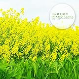 relaxing fragrance shop  A Relaxing Fragrance