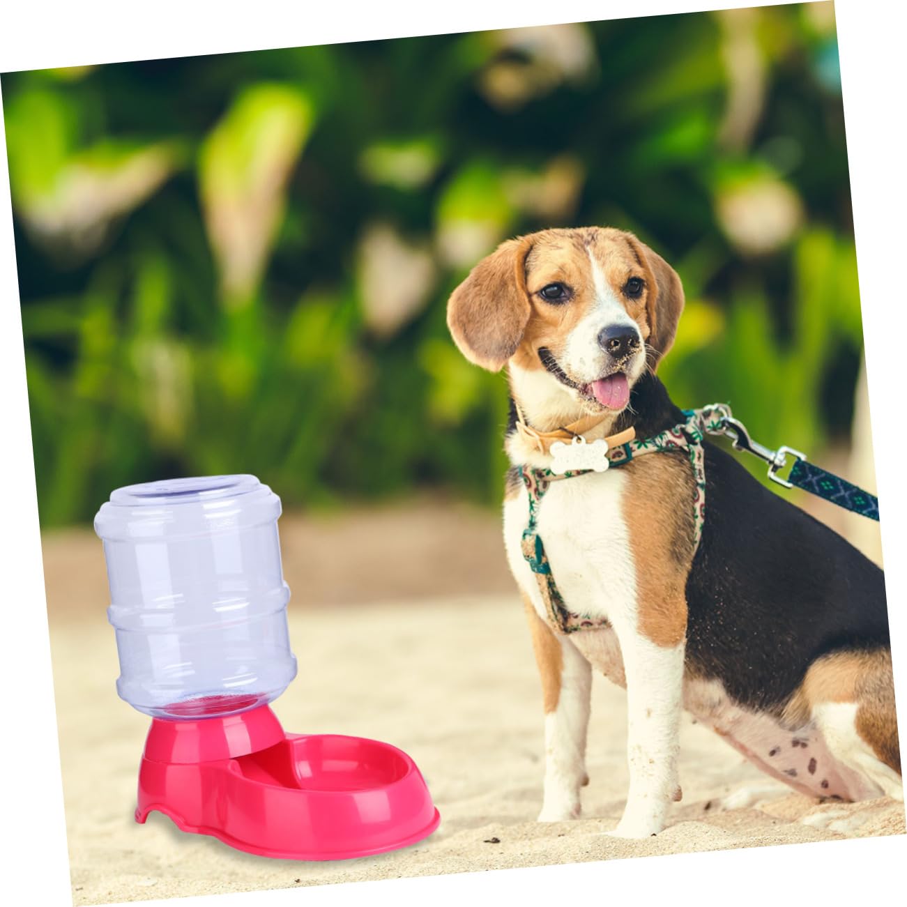 Kisangel Alimentador Automático para Gatos Dispositivo de Alimentación de Comedero y Bebedero Automático para Mascotas Color Aleatorio