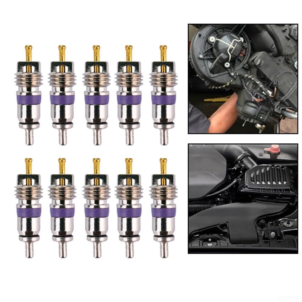 10 Stück große Bohrung A/C Ventilkern für BMW für Mercedes für Benz für Ford | AC-Ventil Ersatzteil kompatibel mit 8E0820855 64536922944 MT1544| Metallkonstruktion