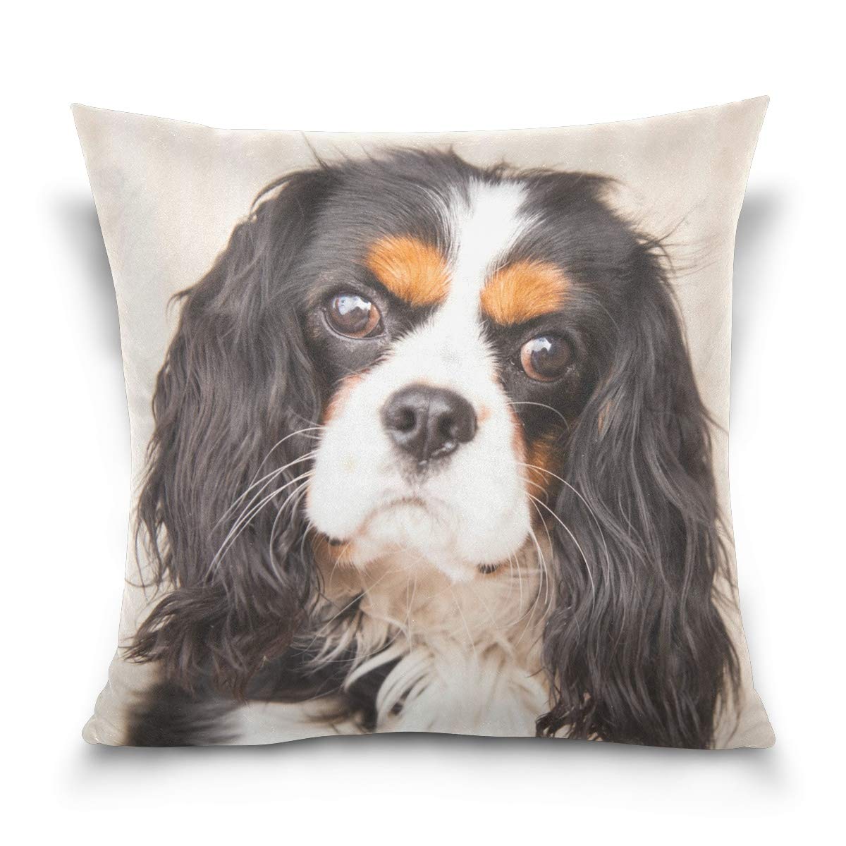 Mohado Puppy Cavalier King Charles Spaniel Square Decorative Throw Pillow Cover Case Cushion Cover for Sofa Bedroom Couch Car Double-Sided Printing 18 x 18 inch