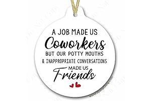 Coworker Funny Ornament | CoWorker Gifts Christmas Ornament | Gift for Colleague...