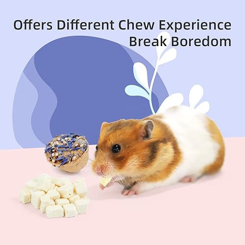 Miniatura 4 de Niteangel Juguete de bocadillos y golosinas para hámster, mezcla natural de animales pequeños para robo sirio, jerbos, ratones, limmings degus u