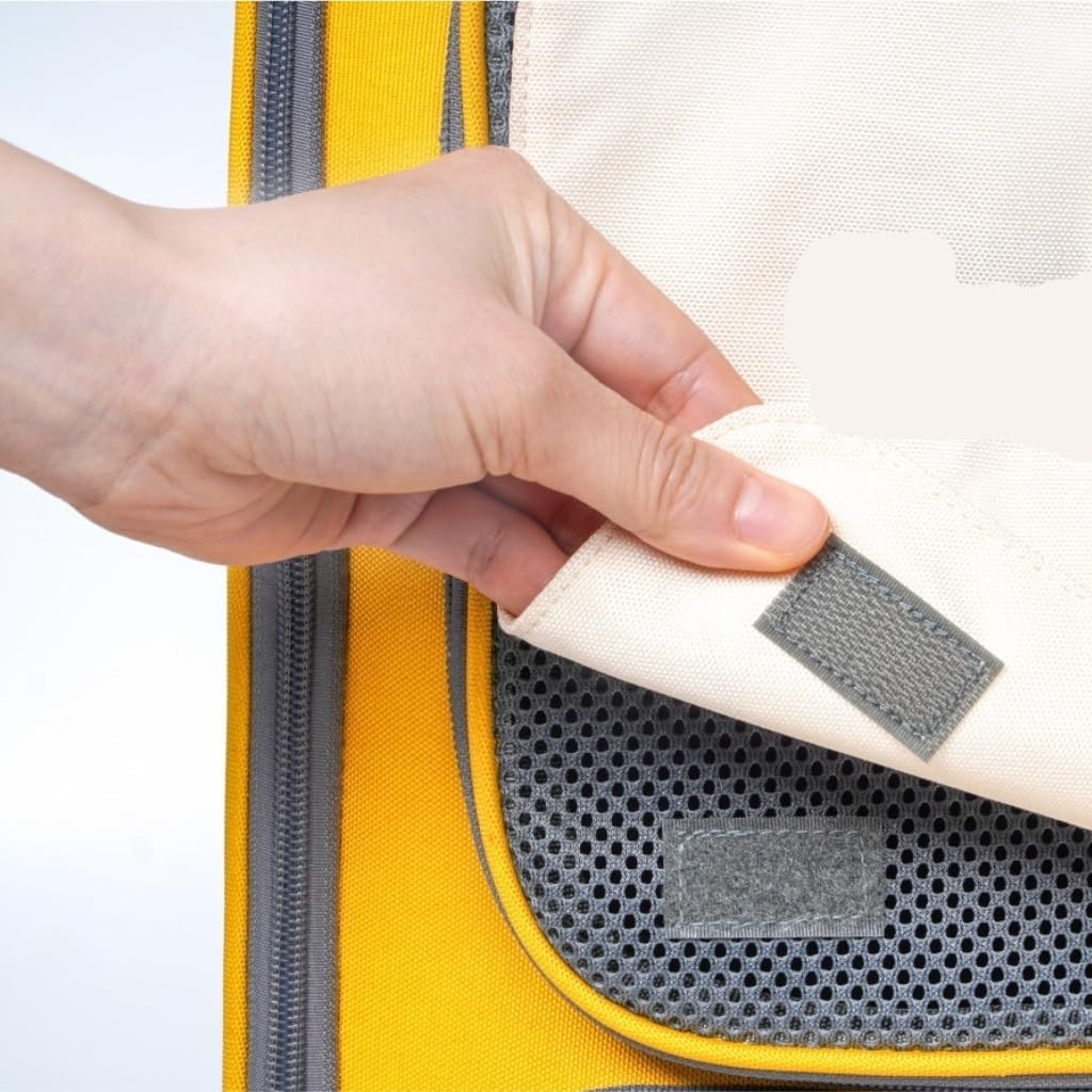 藤川さき 藤川沙樹「名前をおしえて」2018年 キャンバスに油彩 F6号 額装品