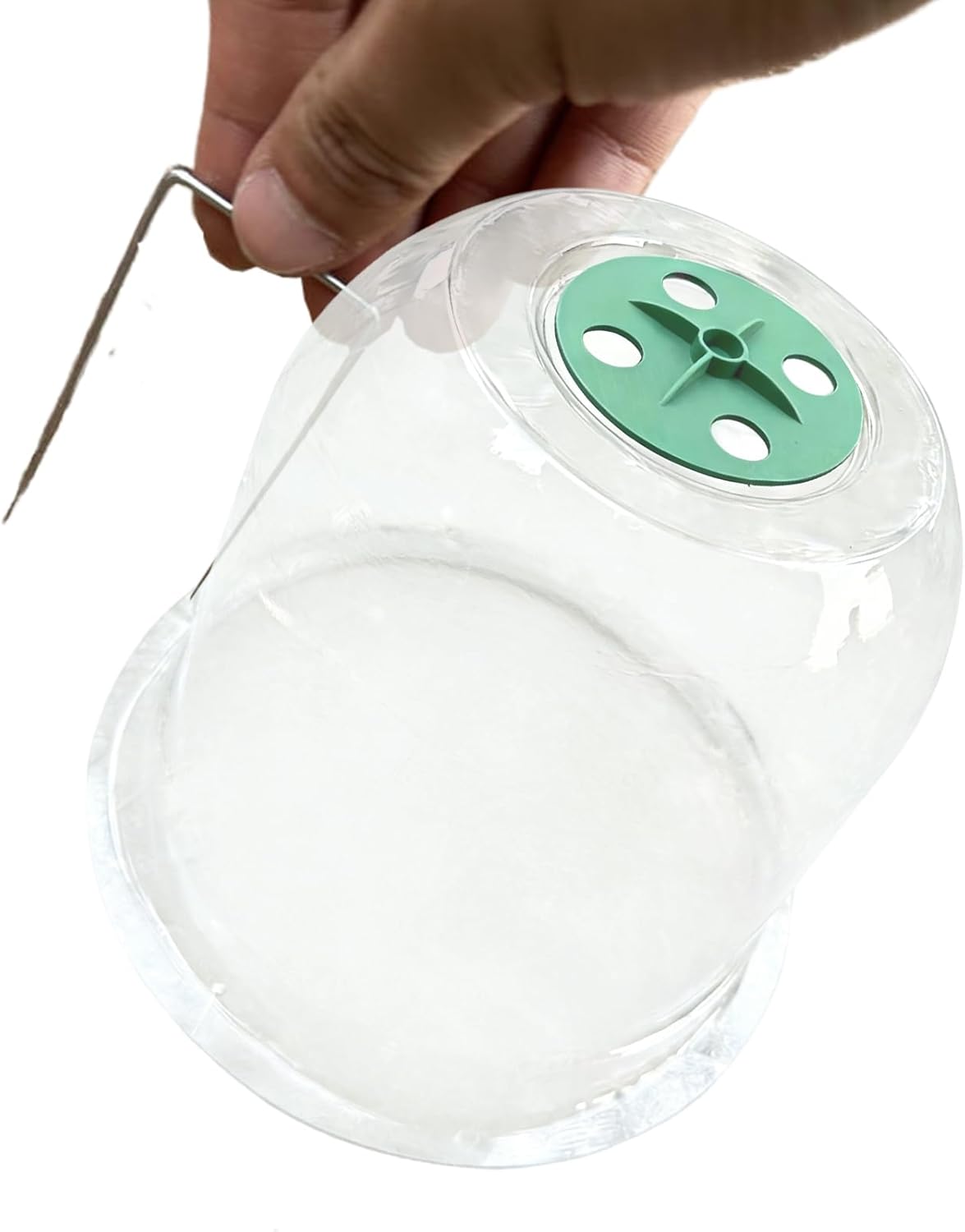 Gartenglocken für Pflanzen – Transparente Gartenbedarf | Garten Sämling Pflanzenschutzglocke – für Winter Outdoor Hof Gewächshaus Gemüse Gartenglocken für Pflanzen – Transparente Gartenbedarf | Garten Sämling Pflanzenschutzglocke – für Winter Outdoor Hof Gewächshaus Gemüse