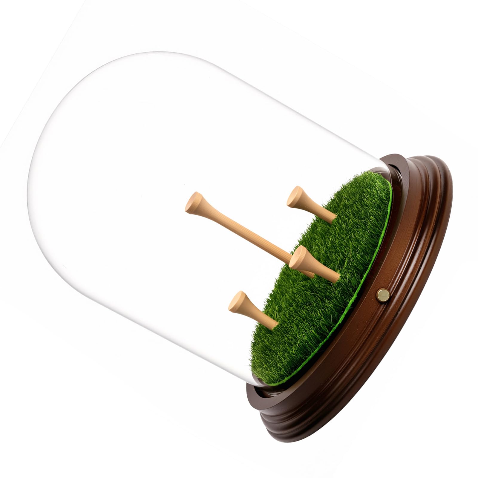Jazuaiao Large Size Golf Ball Presentation Case Featuring 360 Degree Clear View Design Luxury Golf Ball Storage Box
