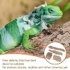 SEWACC 4pcs Natural Cork Bark Bits Reptile Bark Bedding Flat Cork Bedding Terrariums Substrate for Snake Spiders Bearded Dragons Frogs Tank Supplies