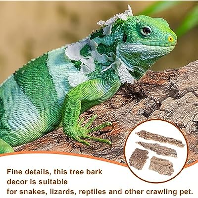 SEWACC 4pcs Natural Cork Bark Bits Reptile Bark Bedding Flat Cork Bedding Terrariums Substrate for Snake Spiders Bearded Dragons Frogs Tank Supplies