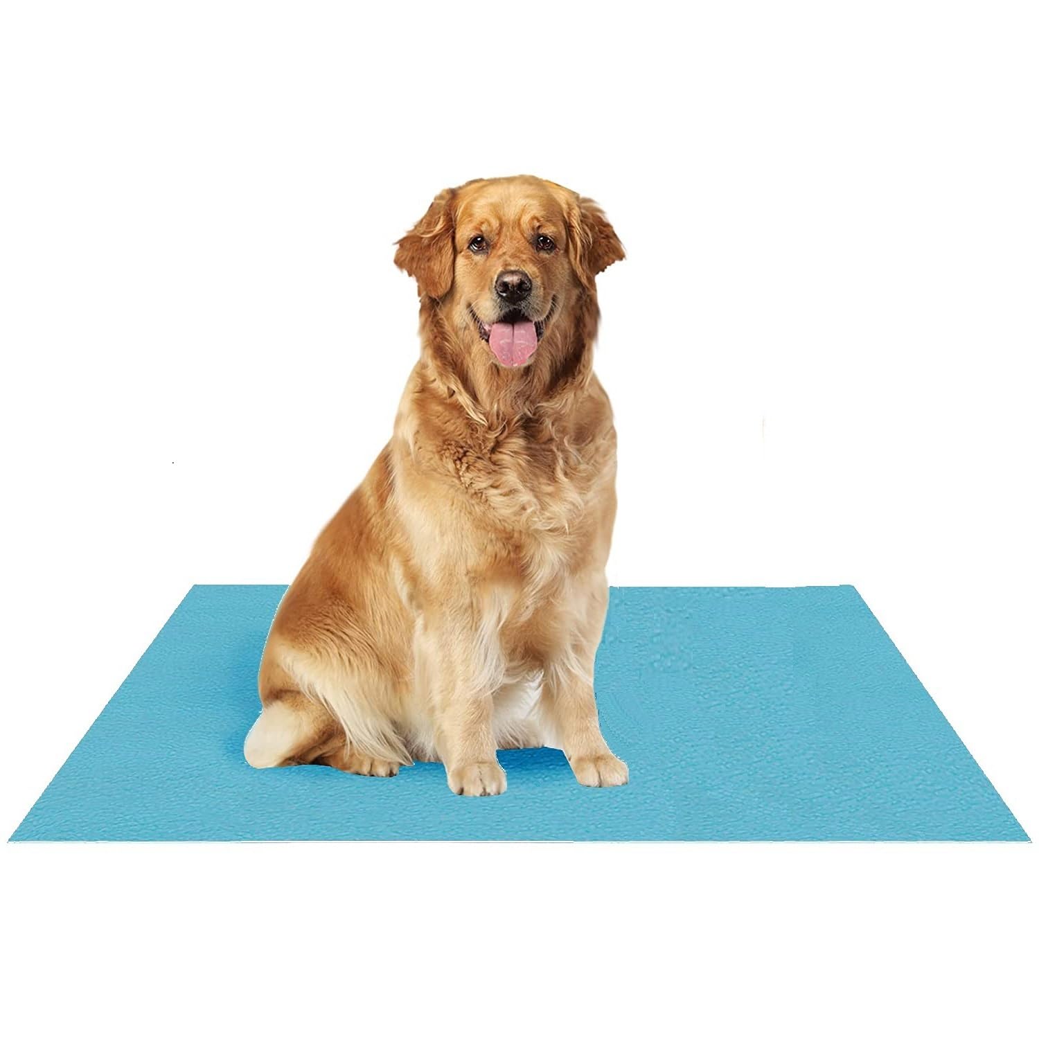 Fancy Dress Factory Waterproof Reusable Washable Pee Pads for Dogs | High Absorption Puppy Training Pads(100cm X 140cm) Violet (B0CCRHGBGQ) Amazon Price History, Amazon Price Tracker