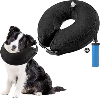 amazon buster collar