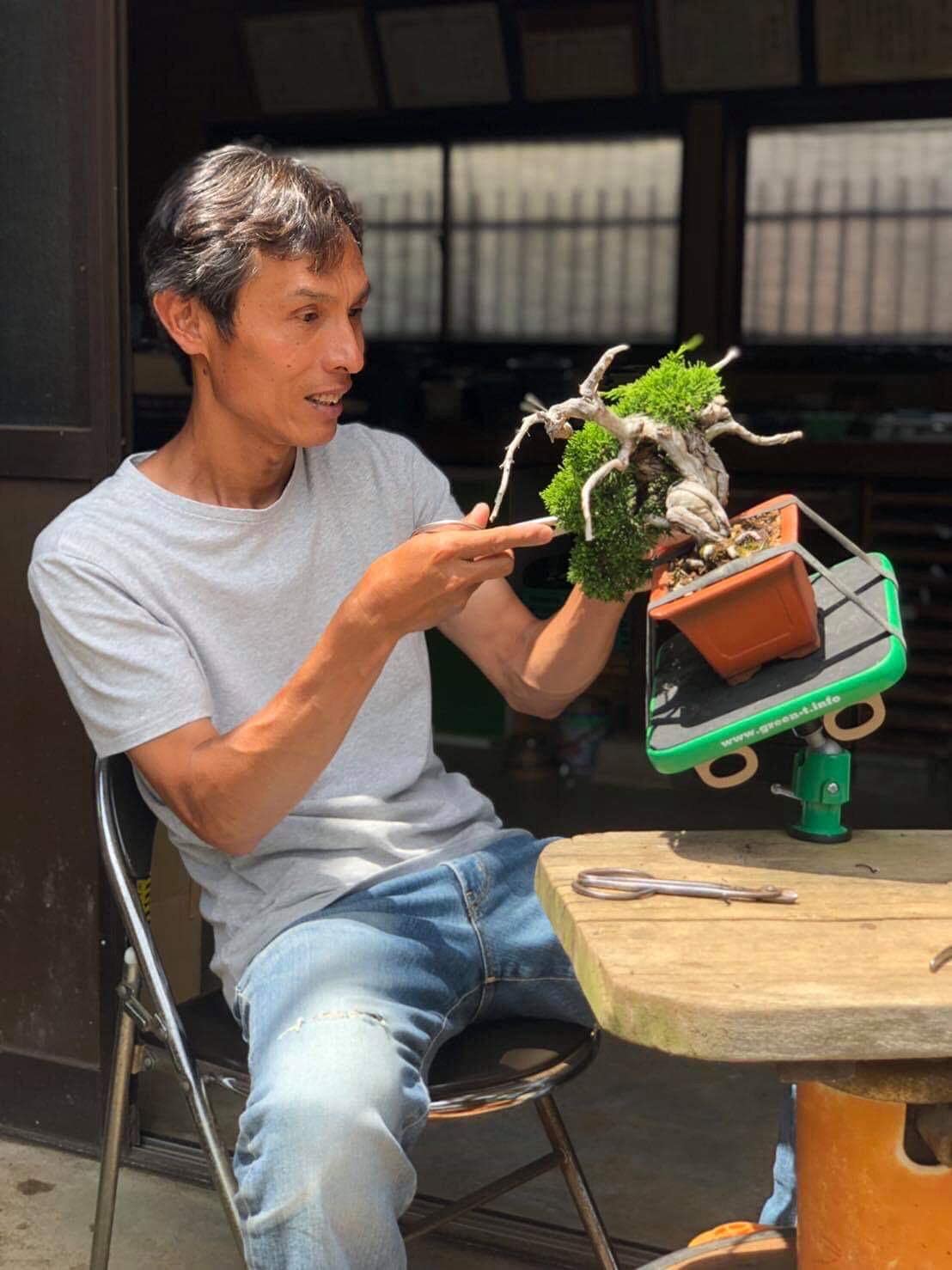 Tavolo professionale da lavoro con ventosa per Bonsai Shohin Green-T