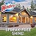 Windex Outdoor Glass & Patio Cleaner, 32oz