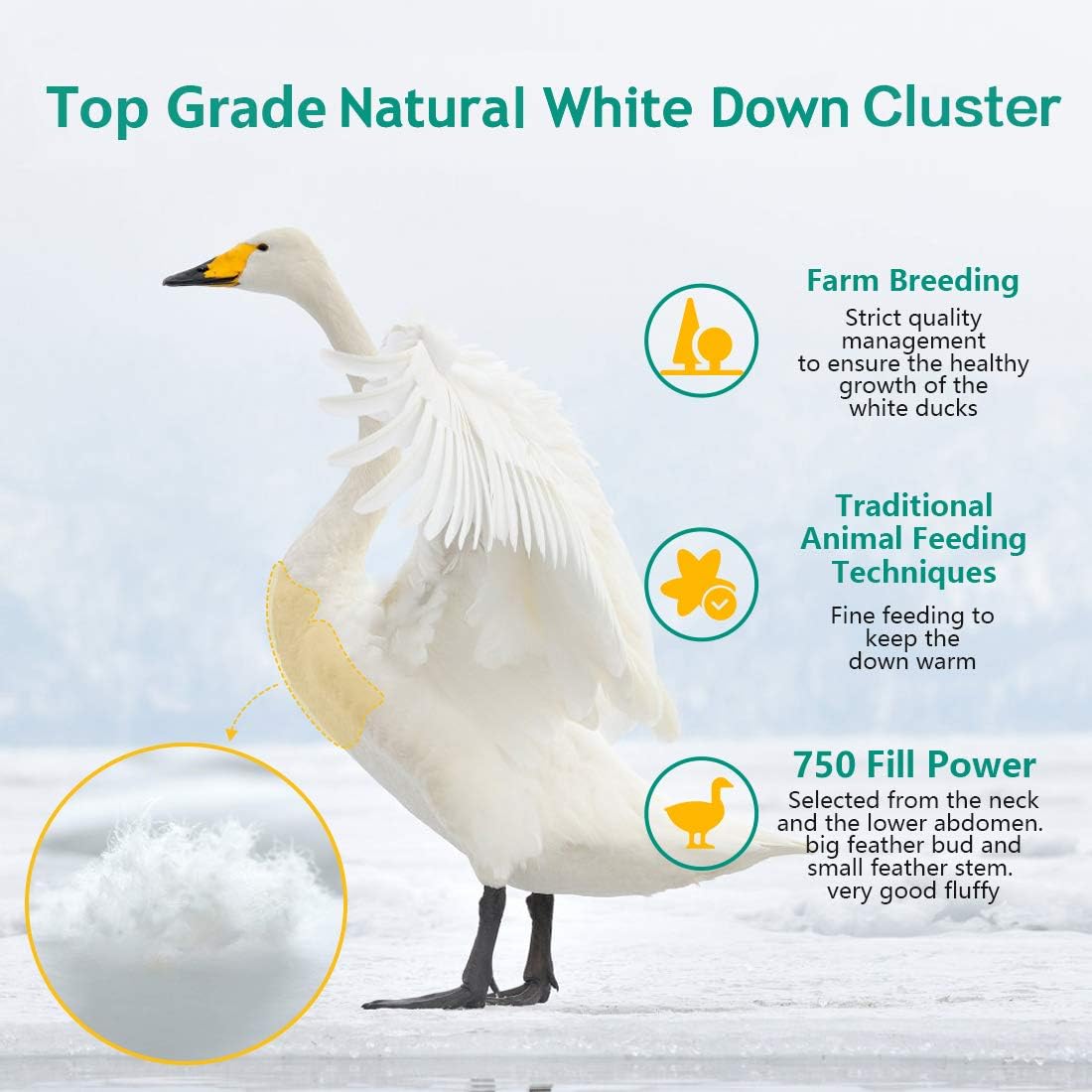 Soft Fluffy Down Comforter&Duvet Inserts (Queen Size),Natural White Down Cluster Filling,Space Capsule Design,Lightweight,750 FP,100% Cotton Cover,Silent Duvet for All Sleep Positions