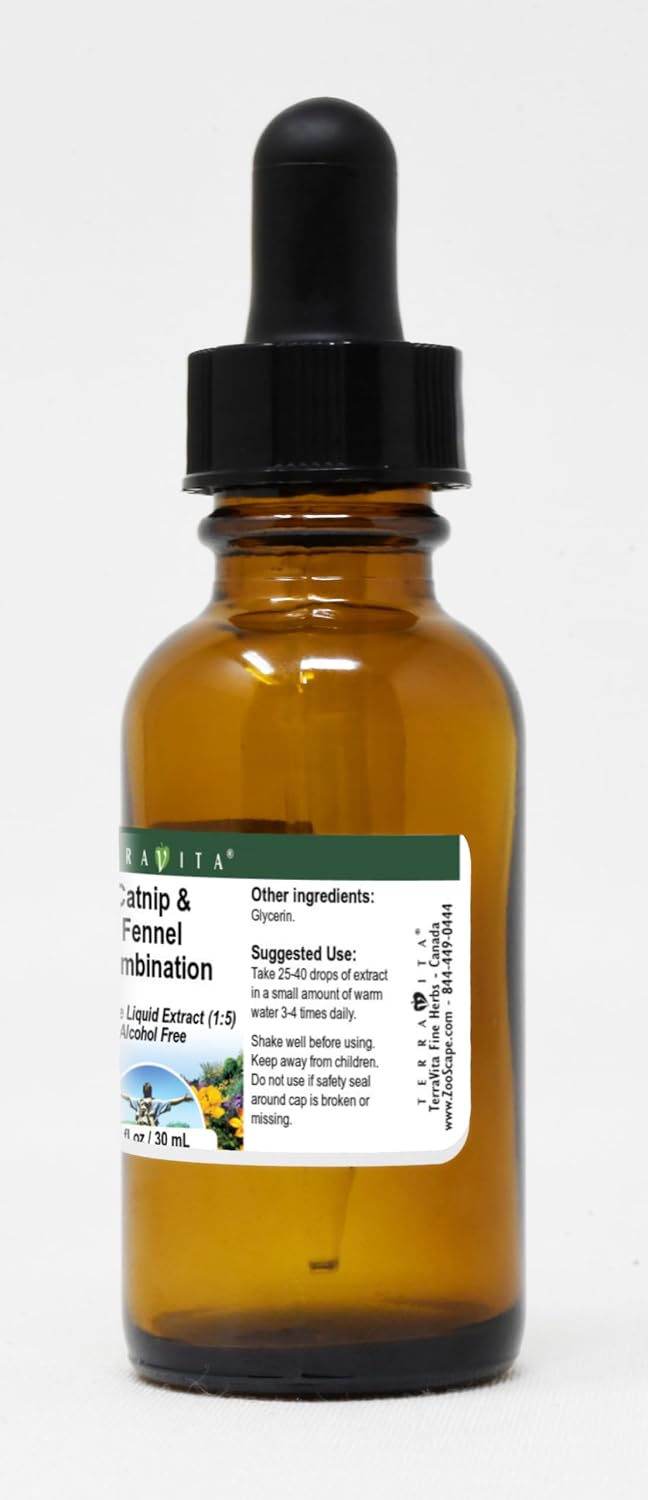 Catnip & Fennel Combination Glycerite Liquid Extract (1:5) - No Flavor (1 oz, ZIN: 522232) - 3 Pack