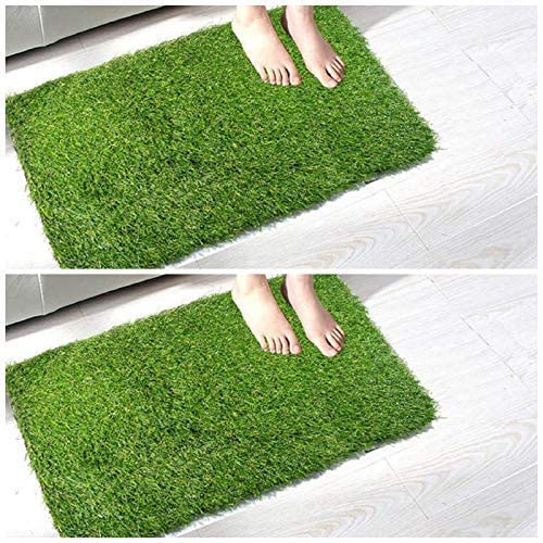 Buy HOS DECORE Artificial Grass Floor Mat (Pack of 2) Online at Low