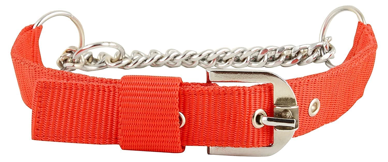 SR VISION Dog Choke Collar Nylon Half Chain Collar Half Choker Stainless Steel Adjustable Dogs Collars Chain (1 INCH RED) (Medium to Large) (B09NLSSRHJ) Amazon Price History, Amazon Price Tracker