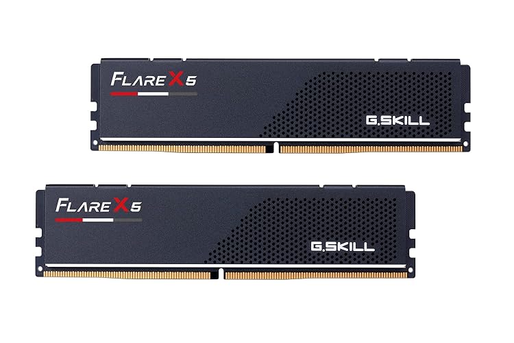 G.SKILL Flare X5 Series DDR5 RAM (AMD Expo) 48GB (2x24GB) 5200MT/s CL40-40-40-83 1.10V Desktop Computer Memory U-DIMM - Matte Black (F5-5200J4040A24GX2-FX5)