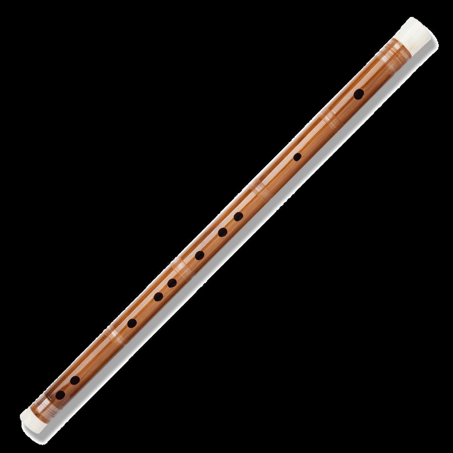 dizi Piccolo Raffinierte professionelle High-End-Spielflöte Bitter Bambusflöte Anfänger Erwachsene Null Basic F-Taste Kinder G-Taste Dizi Bambusflöten(F)